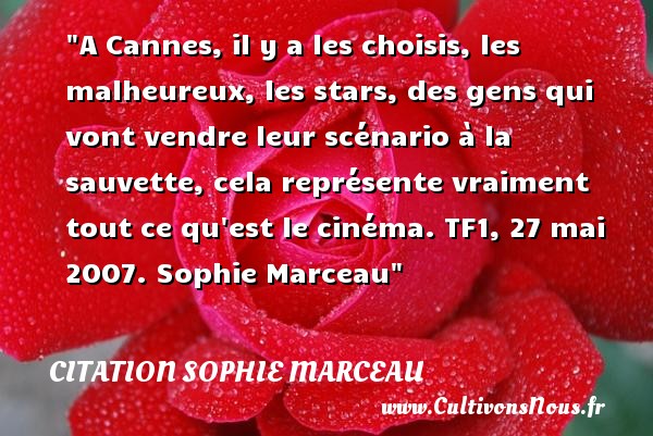 A Cannes, il y a les choisis, les malheureux, les stars, des gens qui vont vendre leur scénario à la sauvette, cela représente vraiment tout ce qu est le cinéma. TF1, 27 mai 2007. Sophie Marceau CITATION SOPHIE MARCEAU - Citations heureux