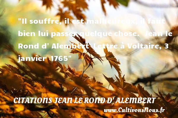 Il souffre, il est malheureux, il faut bien lui passer quelque chose.  Jean le Rond d  Alembert  Lettre à Voltaire, 3 janvier  1765 CITATIONS JEAN LE ROND D' ALEMBERT - Citations heureux