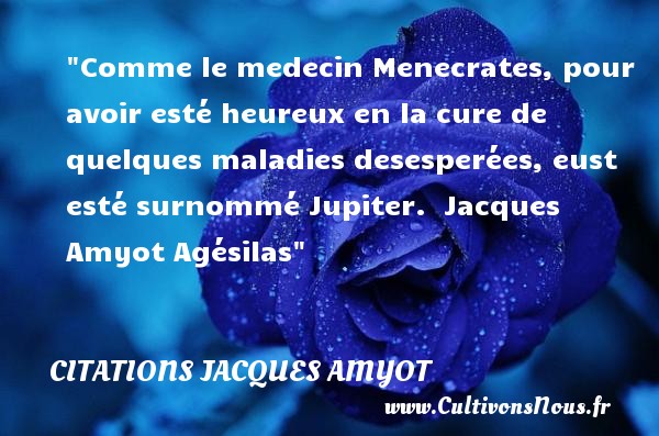 Comme le medecin Menecrates, pour avoir esté heureux en la cure de quelques maladies desesperées, eust esté surnommé Jupiter.  Jacques Amyot Agésilas CITATIONS JACQUES AMYOT - Citations heureux