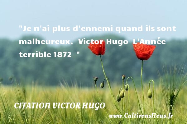 Je n ai plus d ennemi quand ils sont malheureux.  Victor Hugo  L Année terrible 1872   CITATION VICTOR HUGO - Citations heureux
