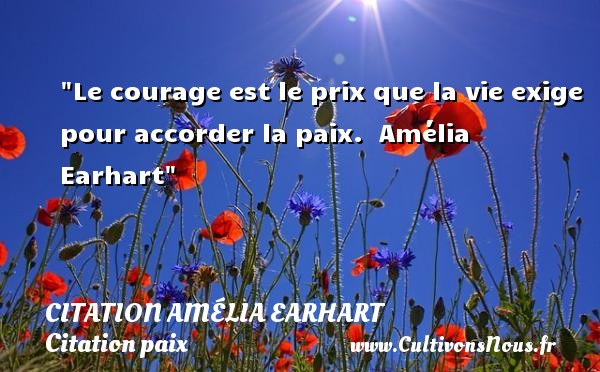 Le courage est le prix que la vie exige pour accorder la paix.  Amélia Earhart CITATION AMÉLIA EARHART - Citation Amélia Earhart - Citation paix