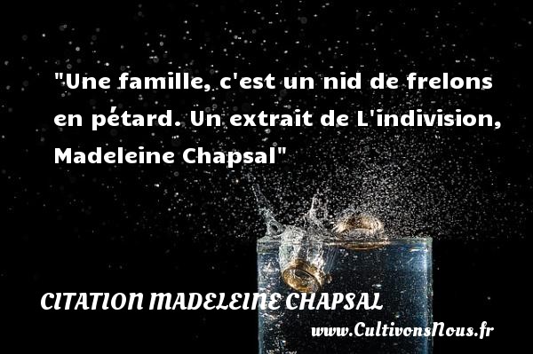 Une famille, c est un nid de frelons en pétard. Un extrait de L indivision, Madeleine Chapsal CITATION MADELEINE CHAPSAL - Citation famille