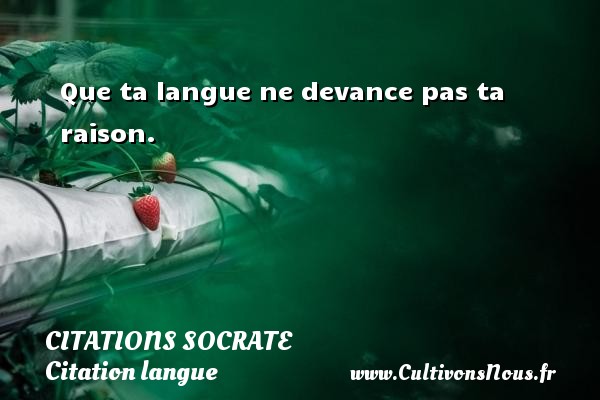 Que ta langue ne devance pas ta raison. CITATIONS SOCRATE - Citation langue
