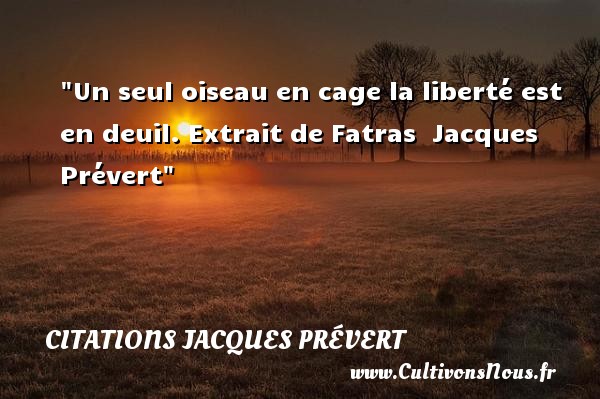 Un seul oiseau en cage la liberté est en deuil. Extrait de Fatras Citation Jacques Prévert CITATIONS JACQUES PRÉVERT - Citations Jacques Prévert