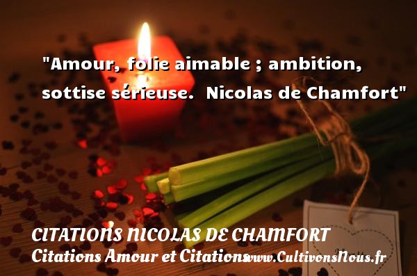 Amour, folie aimable ; ambition, sottise sérieuse.  Nicolas de Chamfort CITATIONS NICOLAS DE CHAMFORT - Citations Amour et Citations