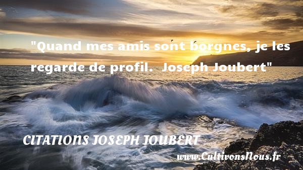 Quand mes amis sont borgnes, je les regarde de profil.  Joseph Joubert CITATIONS JOSEPH JOUBERT - Citation Amitié