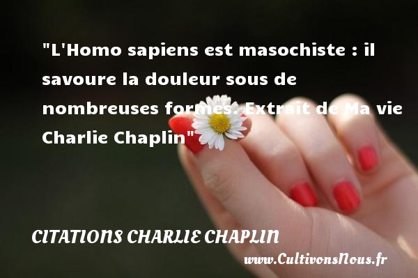L Homo sapiens est masochiste : il savoure la douleur sous de nombreuses formes. Extrait de Ma vie Charlie Chaplin CITATIONS CHARLIE CHAPLIN