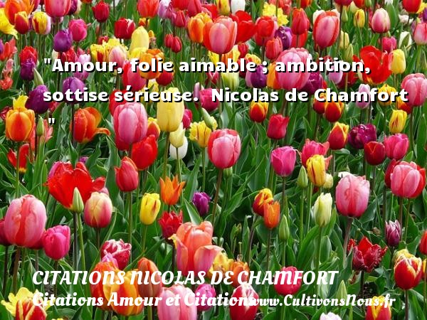 Amour, folie aimable ; ambition, sottise sérieuse.  Nicolas de Chamfort   CITATIONS NICOLAS DE CHAMFORT - Citations Amour et Citations