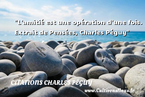 L amitié est une opération d une fois. Extrait de Pensées, Charles Péguy CITATIONS CHARLES PÉGUY - Citations Charles Péguy - Citation sur la vie