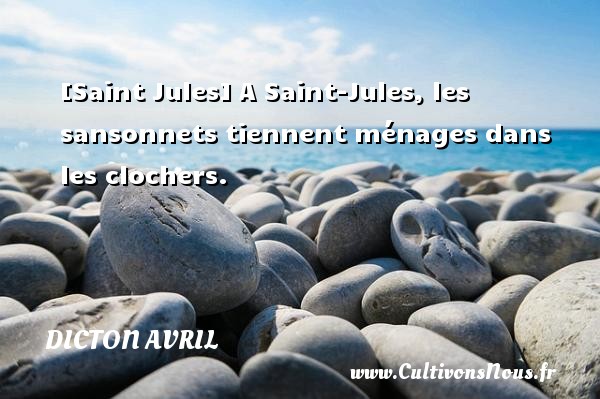[Saint Jules] A Saint-Jules, les sansonnets tiennent ménages dans les clochers. DICTON AVRIL
