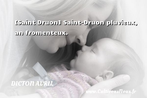 [Saint Druon] Saint-Druon pluvieux, an fromenteux. DICTON AVRIL