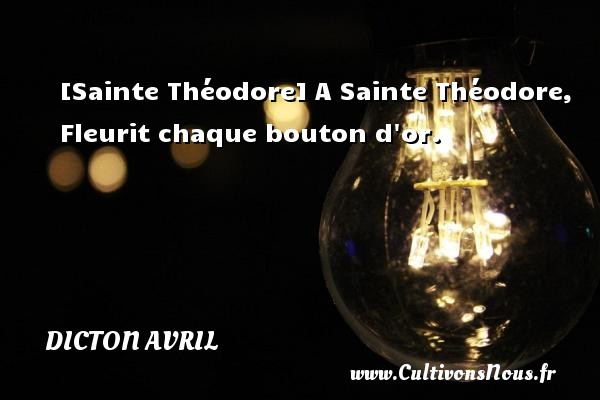 [Sainte Théodore] A Sainte Théodore, Fleurit chaque bouton d or. DICTON AVRIL