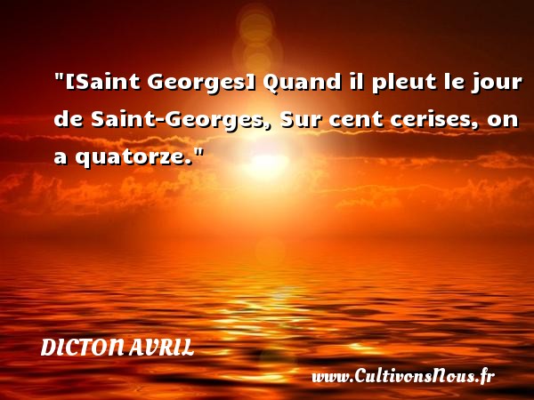 [Saint Georges] Quand il pleut le jour de Saint-Georges, Sur cent cerises, on a quatorze. DICTON AVRIL