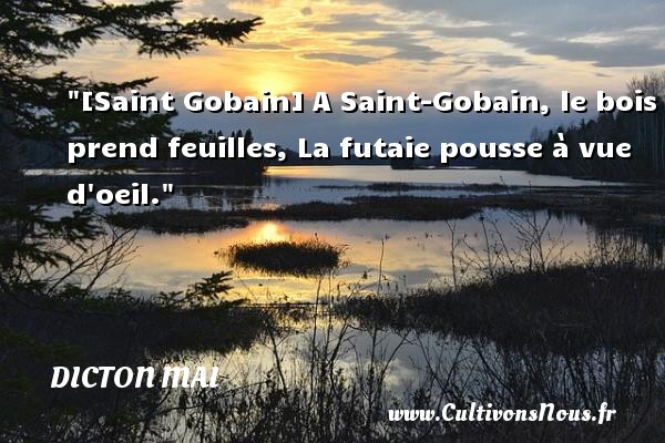 [Saint Gobain] A Saint-Gobain, le bois prend feuilles, La futaie pousse à vue d oeil. DICTON MAI
