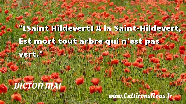 [Saint Hildevert] A la Saint-Hildevert, Est mort tout arbre qui n est pas vert. DICTON MAI
