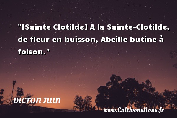 [Sainte Clotilde] A la Sainte-Clotilde, de fleur en buisson, Abeille butine à foison. DICTON JUIN