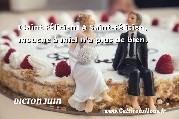 [Saint Félicien] A Saint-Félicien, mouche à miel n a plus de bien. DICTON JUIN