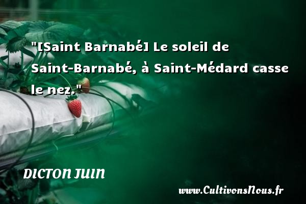 [Saint Barnabé] Le soleil de Saint-Barnabé, à Saint-Médard casse le nez. DICTON JUIN