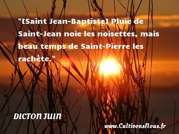 [Saint Jean-Baptiste] Pluie de Saint-Jean noie les noisettes, mais beau temps de Saint-Pierre les rachète. DICTON JUIN