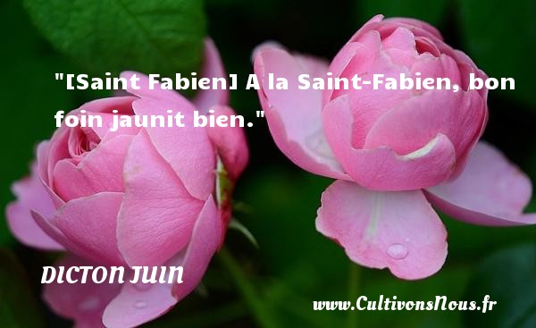 [Saint Fabien] A la Saint-Fabien, bon foin jaunit bien. DICTON JUIN