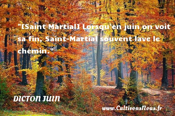 [Saint Martial] Lorsqu en juin on voit sa fin, Saint-Martial souvent lave le chemin. DICTON JUIN