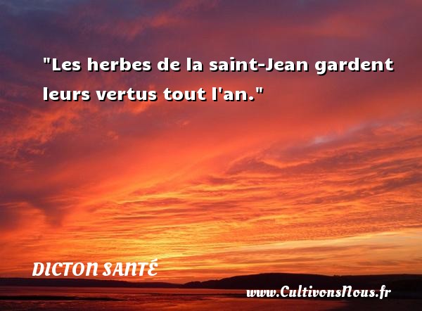 Les herbes de la saint-Jean gardent leurs vertus tout l an. DICTON SANTÉ - Dicton santé