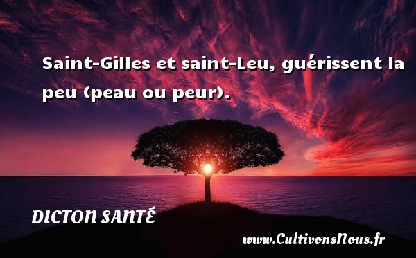 Saint-Gilles et saint-Leu, guérissent la peu (peau ou peur). DICTON SANTÉ - Dicton santé
