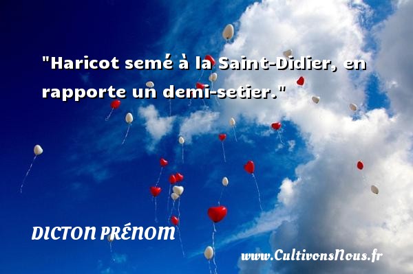 Haricot semé à la Saint-Didier, en rapporte un demi-setier. DICTON PRÉNOM - Dicton prénom