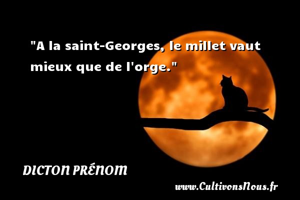 A la saint-Georges, le millet vaut mieux que de l orge. DICTON PRÉNOM - Dicton prénom