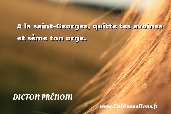 A la saint-Georges, quitte tes avoines et sème ton orge. DICTON PRÉNOM - Dicton prénom