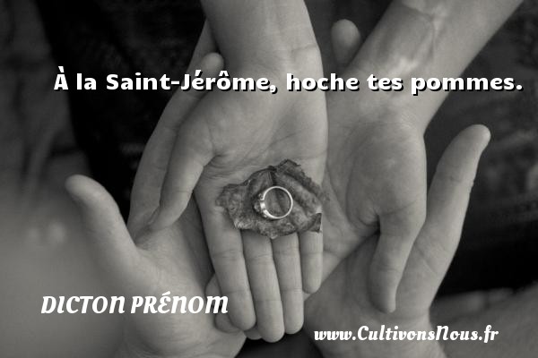 À la Saint-Jérôme, hoche tes pommes. DICTON PRÉNOM - Dicton prénom