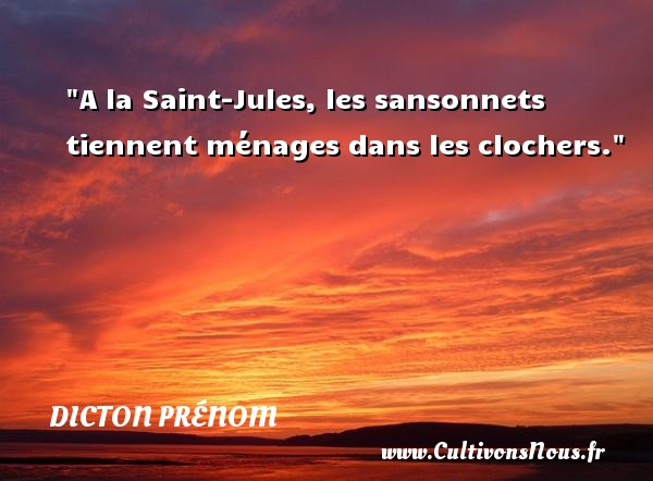 A la Saint-Jules, les sansonnets tiennent ménages dans les clochers. DICTON PRÉNOM - Dicton prénom