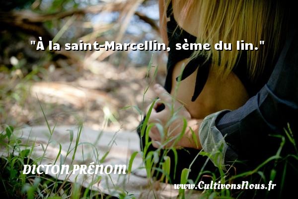 À la saint-Marcellin, sème du lin. DICTON PRÉNOM - Dicton prénom