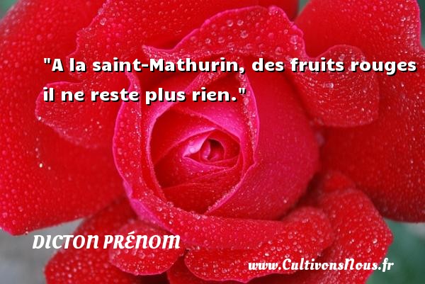 A la saint-Mathurin, des fruits rouges il ne reste plus rien. DICTON PRÉNOM - Dicton prénom