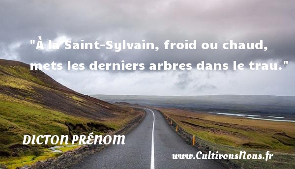 À la Saint-Sylvain, froid ou chaud, mets les derniers arbres dans le trau. DICTON PRÉNOM - Dicton prénom