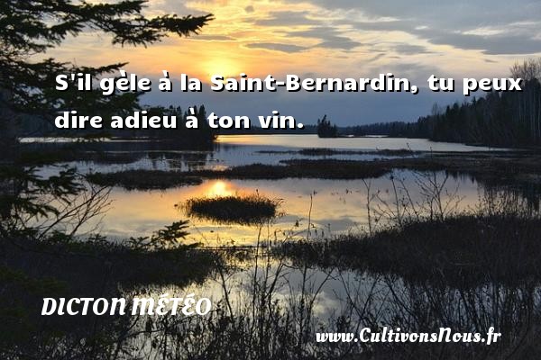 S il gèle à la Saint-Bernardin, tu peux dire adieu à ton vin. DICTON MÉTÉO - Dicton météo