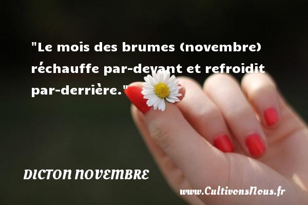 Le mois des brumes (novembre) réchauffe par-devant et refroidit par-derrière. DICTON NOVEMBRE