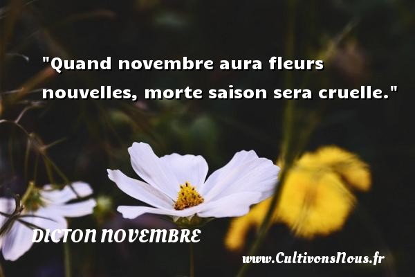Quand novembre aura fleurs nouvelles, morte saison sera cruelle. DICTON NOVEMBRE