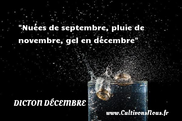 Nuées de septembre, pluie de novembre, gel en décembre DICTON DÉCEMBRE - Dicton décembre