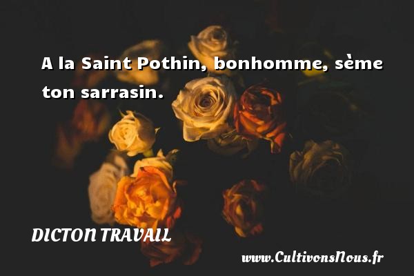 A la Saint Pothin, bonhomme, sème ton sarrasin. DICTON TRAVAIL