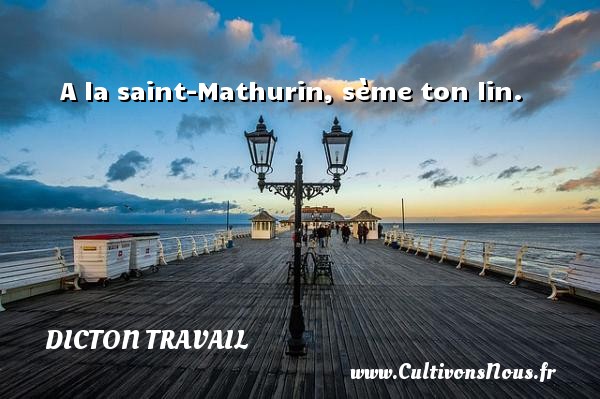 A la saint-Mathurin, sème ton lin. DICTON TRAVAIL