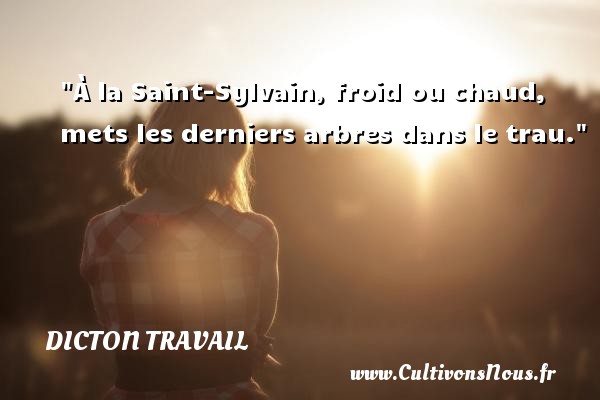 À la Saint-Sylvain, froid ou chaud, mets les derniers arbres dans le trau. DICTON TRAVAIL