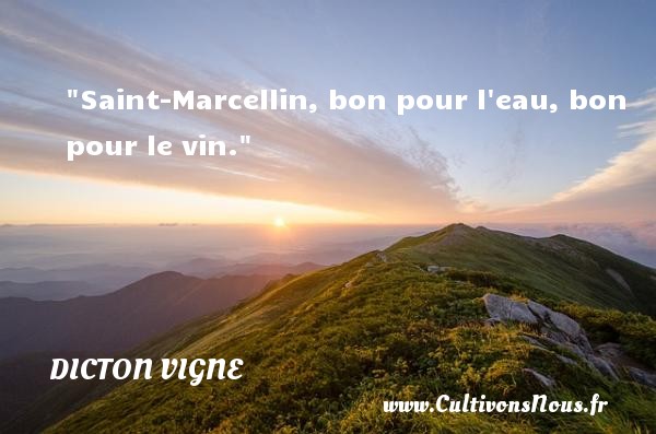 Saint-Marcellin, bon pour l eau, bon pour le vin. DICTON VIGNE