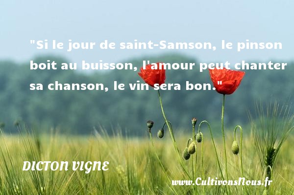 Si le jour de saint-Samson, le pinson boit au buisson, l amour peut chanter sa chanson, le vin sera bon. DICTON VIGNE