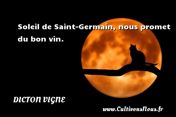 Soleil de Saint-Germain, nous promet du bon vin. DICTON VIGNE