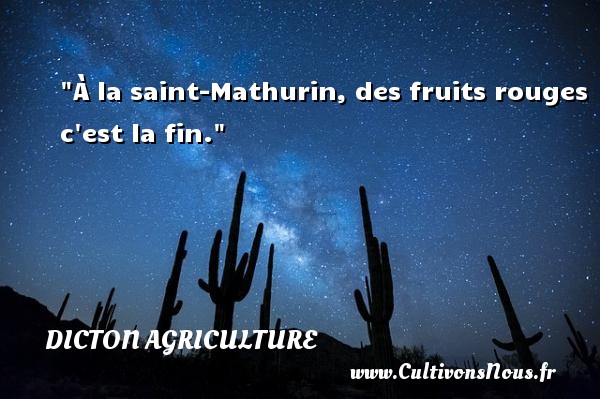 À la saint-Mathurin, des fruits rouges c est la fin. DICTON AGRICULTURE