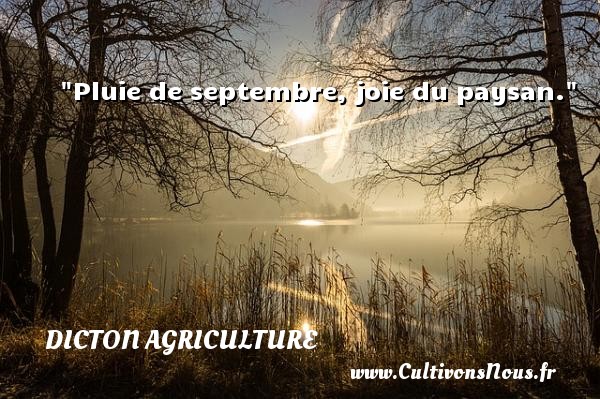 Pluie de septembre, joie du paysan. DICTON AGRICULTURE