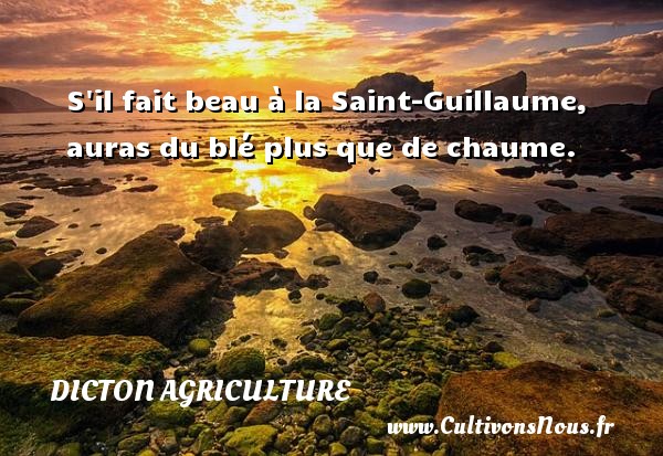 S il fait beau à la Saint-Guillaume, auras du blé plus que de chaume. DICTON AGRICULTURE