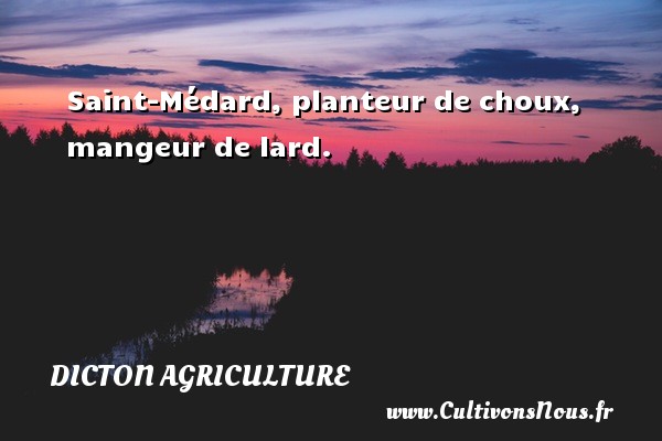 Saint-Médard, planteur de choux, mangeur de lard. DICTON AGRICULTURE