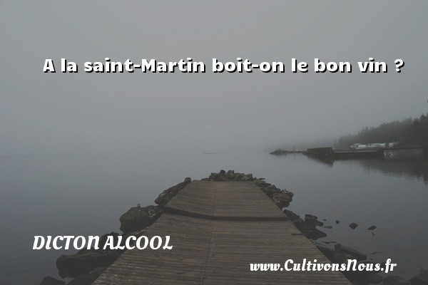 A la saint-Martin boit-on le bon vin ? DICTON ALCOOL